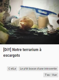 http://c-elle.weebly.com/tas---vue/diy-notre-terrarium-a-escargots