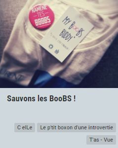 http://c-elle.weebly.com/tas---vue/sauvons-les-boobs
